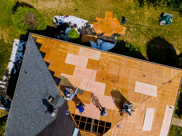 Professional Roofing Contractor in Versailles, KY