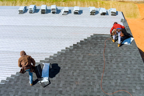 Best Roof Gutter Cleaning  in Versailles, KY