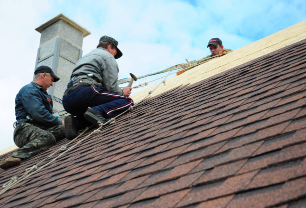 Best Roof Repair Services  in Versailles, KY